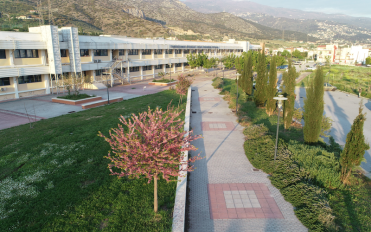 Προκήρυξη Εκλογών Εκπροσώπων Φοιτητών στην Κοσμητεία της ΣΓΕ για το έτος 2026